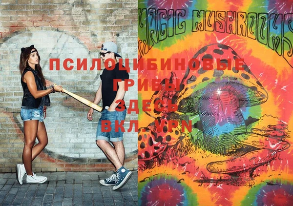 сатива Магадан